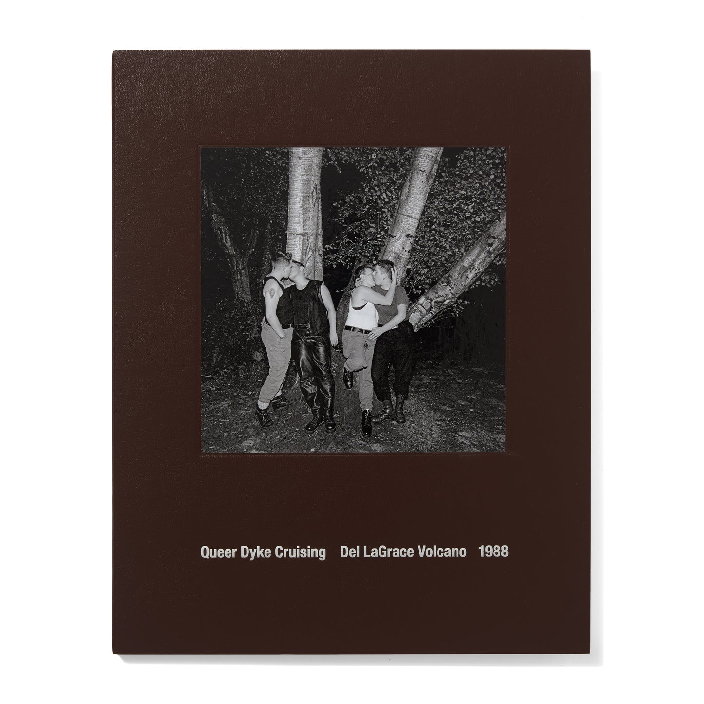 Del LaGrace Volcano: Queer Dyke Cruising
